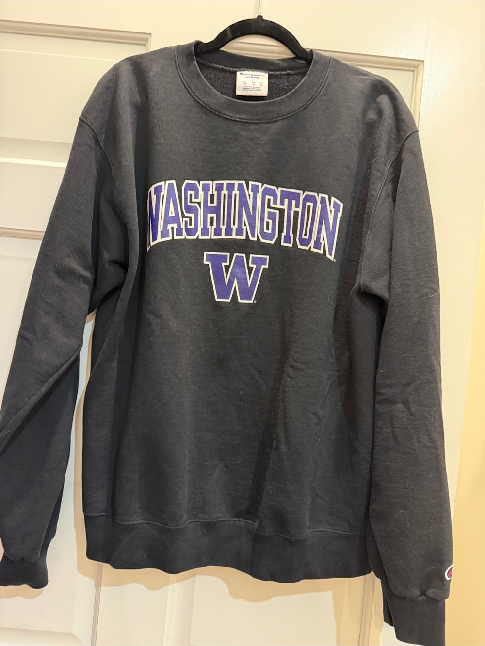 Washington Crewneck Champion Sweatshirt - Black with Purple Lettering